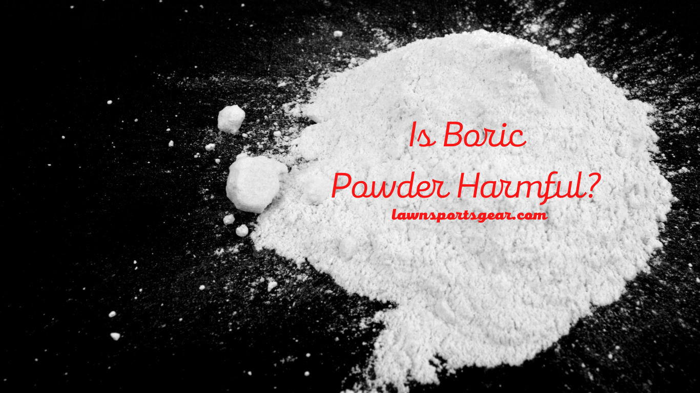 Is Boric Powder Harmful